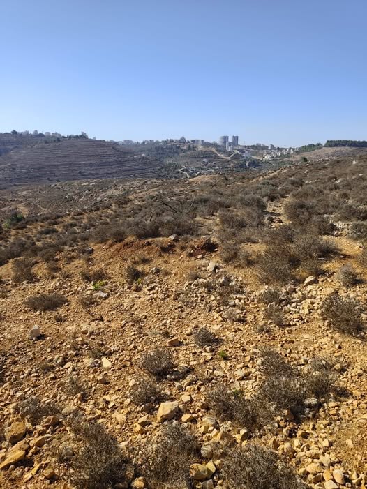 أرض للبيع 1 دونم