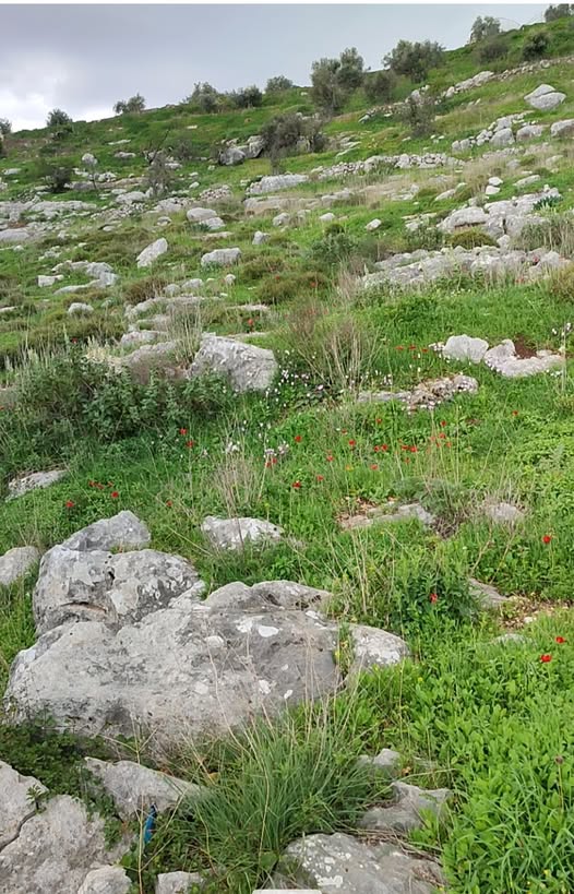 أرض للبيع 550 متر مربع