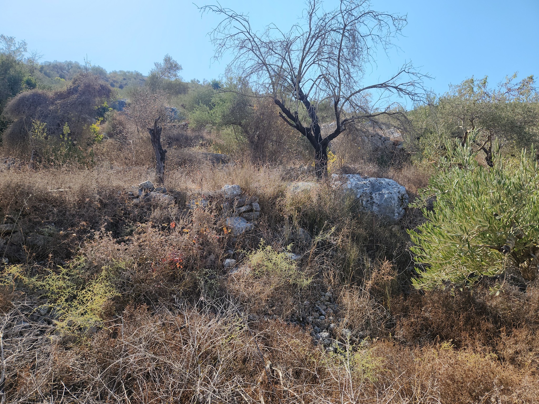 حصة أرض  للبيع  570 متر مربع