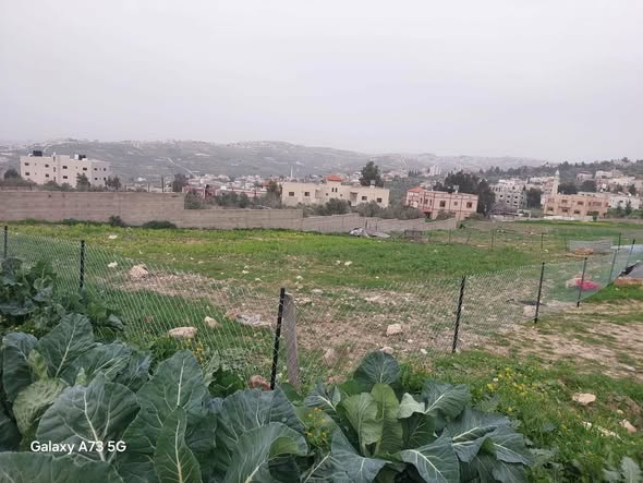 أرض للبيع 514 متر مربع