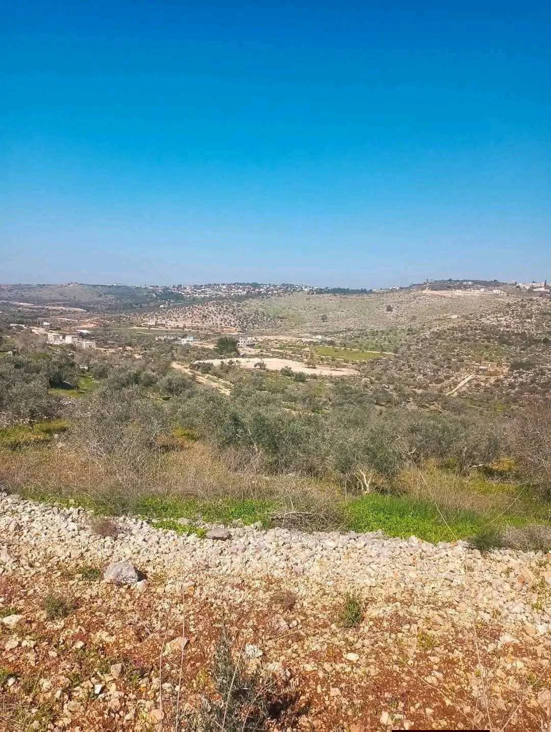 أرض للبيع 1000متر مربع