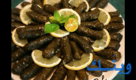 تقى قطين