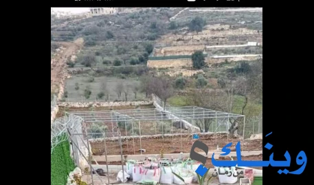 ابو مرسي الشيخ درة