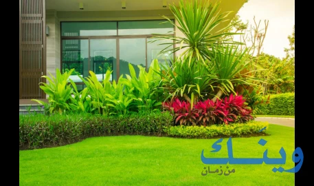 فادي عودة