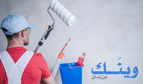 ضياء شماسنه