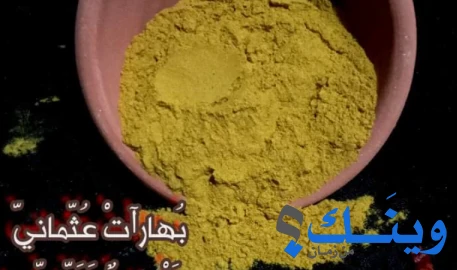 منى فنون التميمي