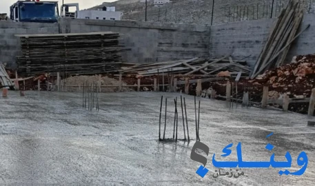 عنان حبيشه