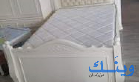 انس ريان