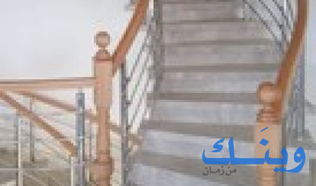 باسم عامر