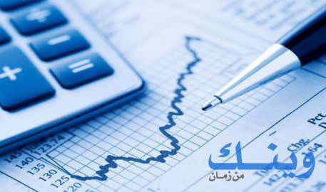 أنس مأمون دروزة