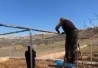 ابو مرسي الشيخ درة