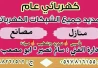 سالم نصير