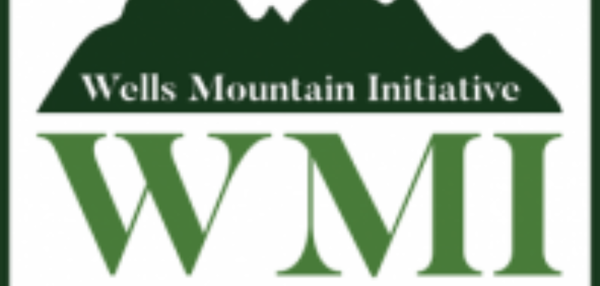 منحة مؤسسة WMF لدراسة البكالوريوس في البلدان النامية