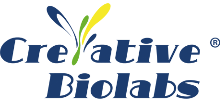 منحة Creative Biolabs للبكالوريوس والدراسات العليا في المجالات الطبية
