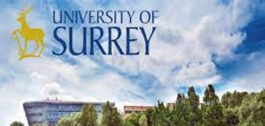 منحة جامعة ساري Surrey للدكتوراه في الطب ببريطانيا