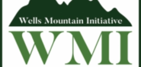 منحة مؤسسة WMF لدراسة البكالوريوس في البلدان النامية