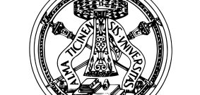 منحة جامعة بافيا