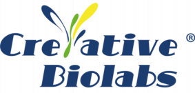 منحة Creative Biolabs للبكالوريوس والدراسات العليا في المجالات الطبية
