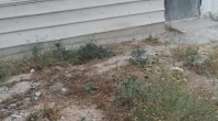 بركس للبيع