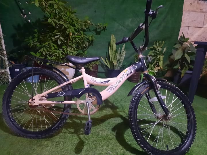 بسكليت نمرة 20