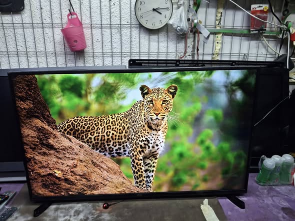 شاشة 43 بوصة