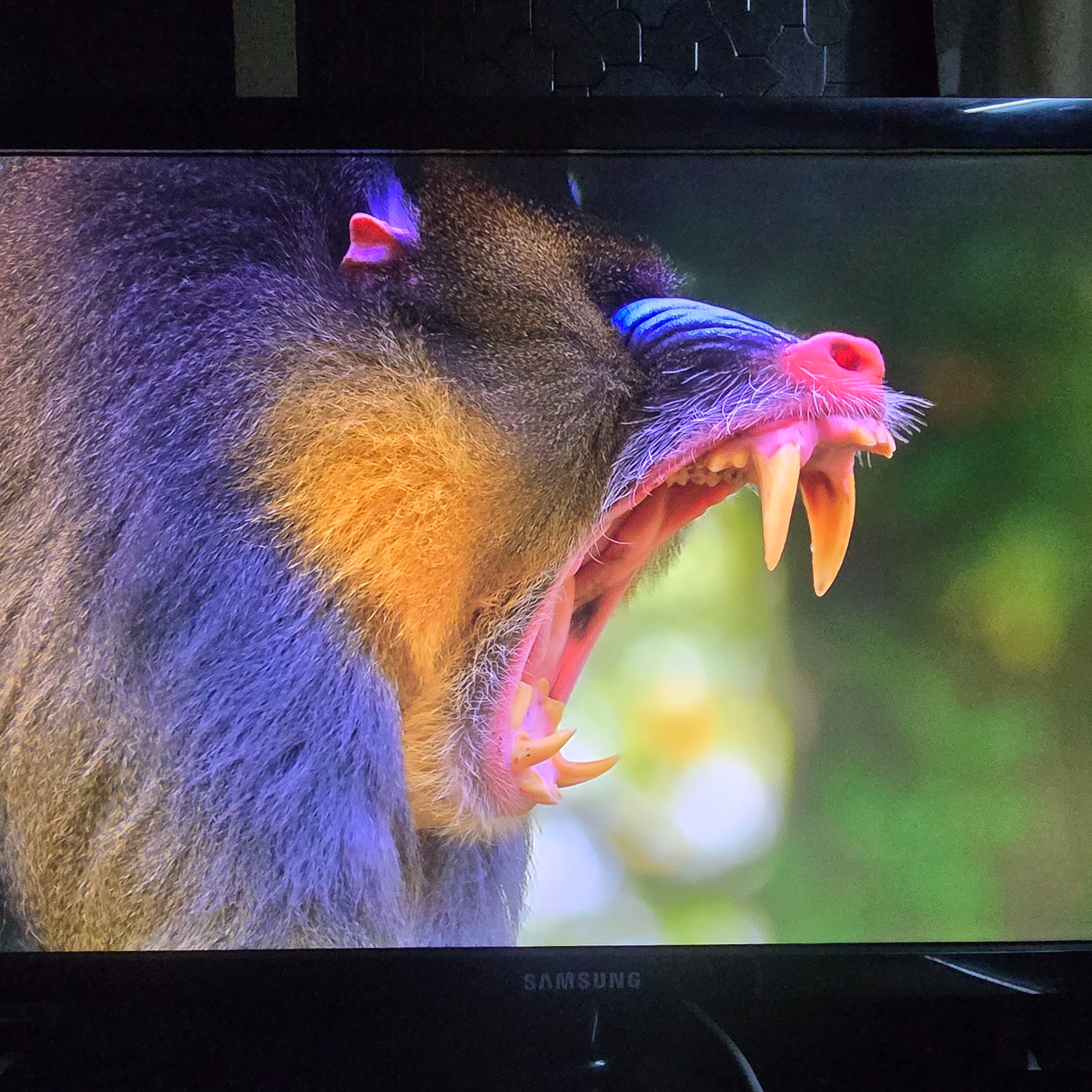 شاشة سامسونج