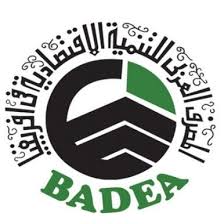 رام الله والبيرة