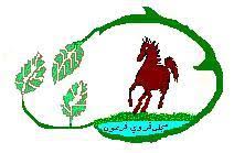 طولكرم