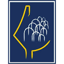 رام الله والبيرة