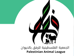 رام الله والبيرة