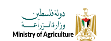 رام الله والبيرة